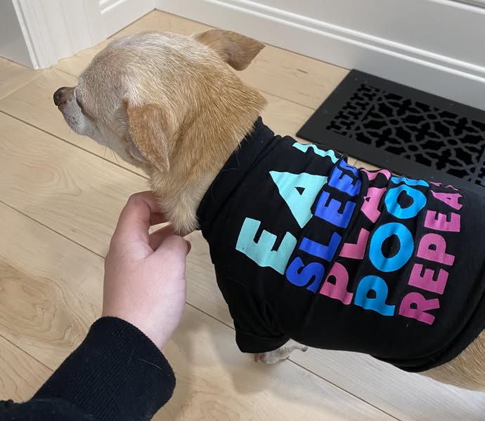 Eat Sleep Play Poop Repeat Pet T-Shirt