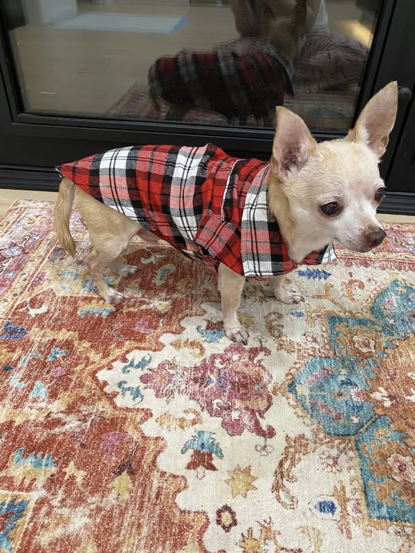 Pet Flannel w/ Patches