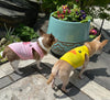 Cute Animals Pet T-Shirt