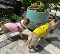 Cute Animals Pet T-Shirt