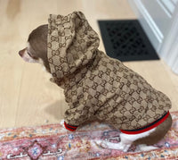 Pucci Pet Hoddie