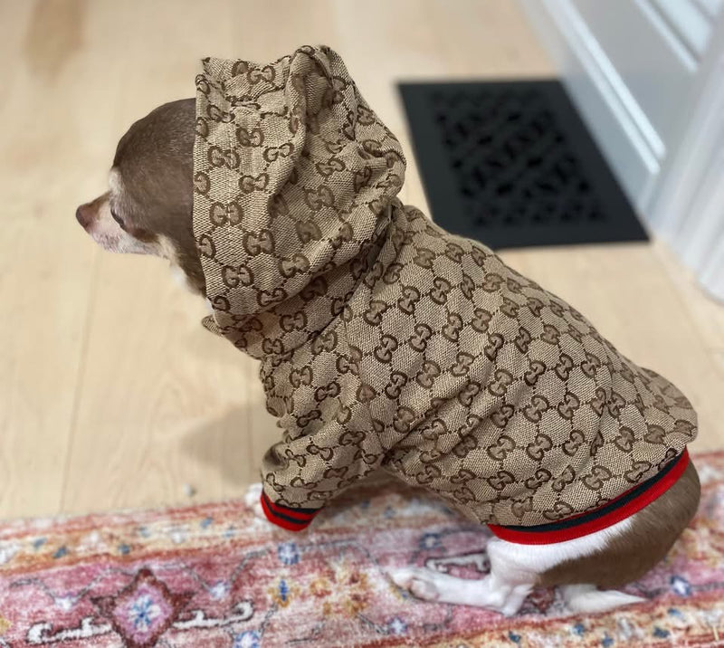 Pucci Pet Hoddie