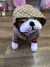 Pucci Pet Hoddie