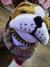 Pucci Pet Hoddie