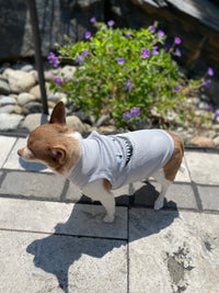 Shark Pet T-Shirt