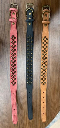 Spikey Pet Collar (3 colors)